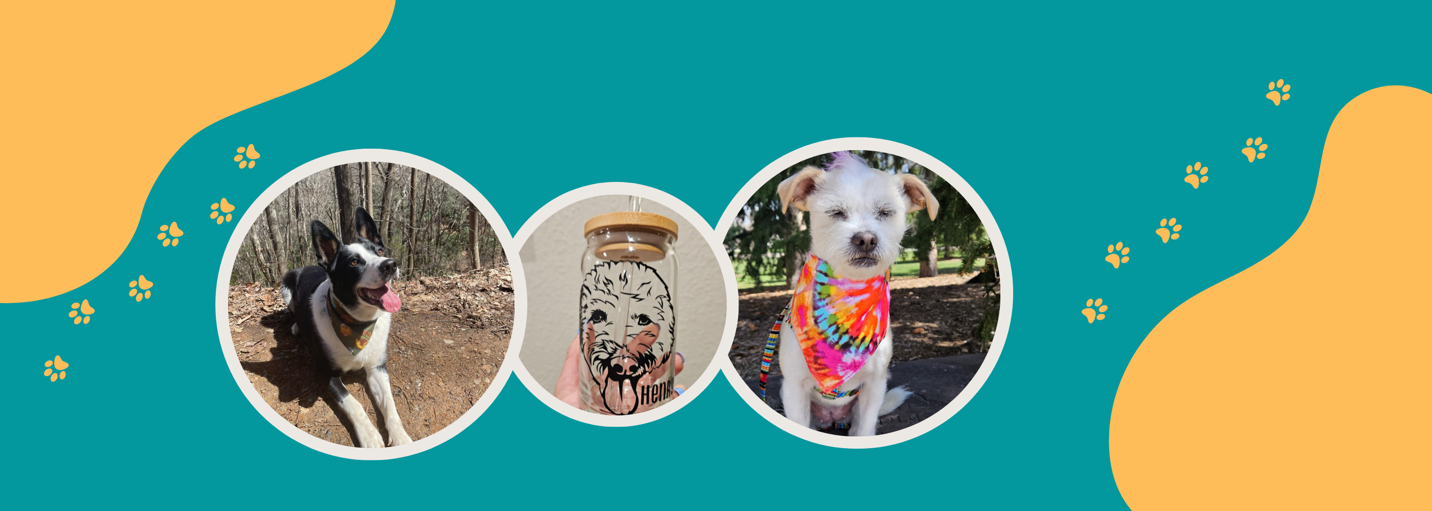 The Wandering Paw Co